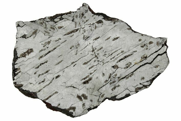 Etched Canyon Diablo Meteorite Slice ( g) - Arizona #356079